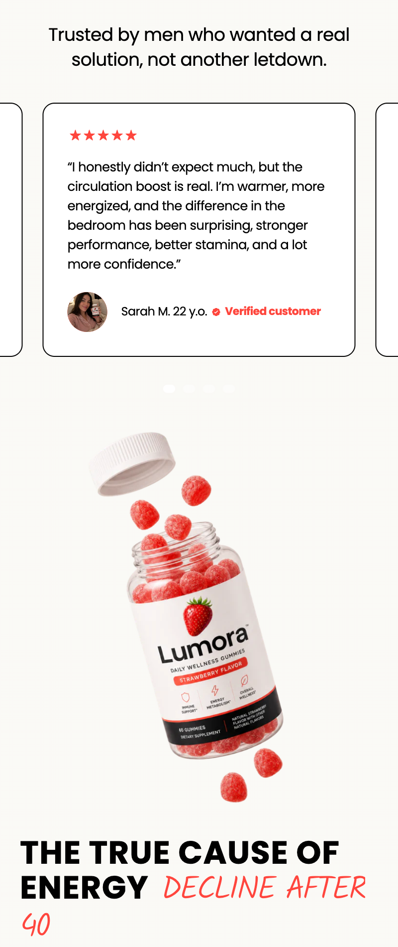 Template preview 5